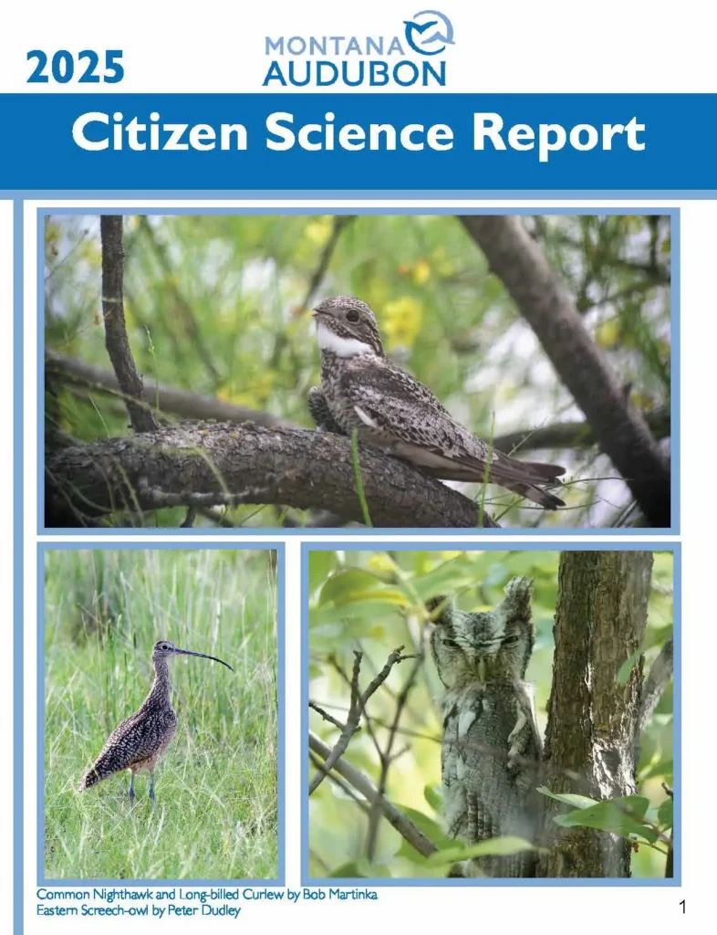 2025 Citizen Science Reports Now Available - Montana Audubon